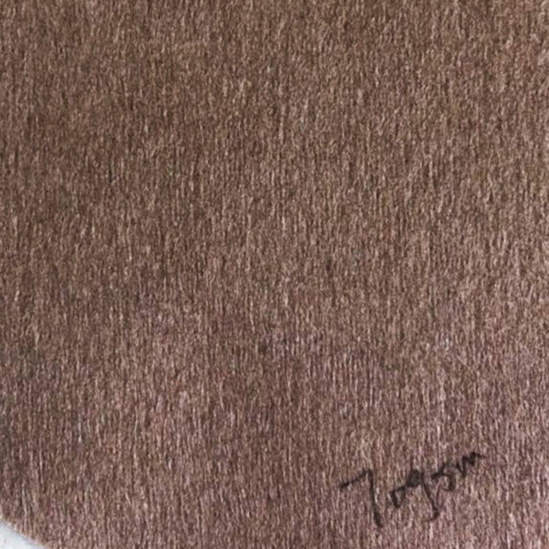 膏药贴用肤色水刺无纺布
